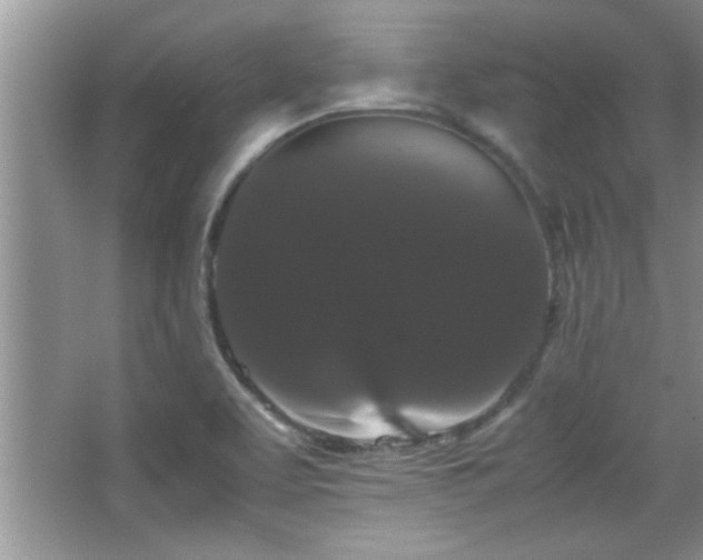 X0000067871463200604131223