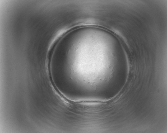 X0000067871464200604131223