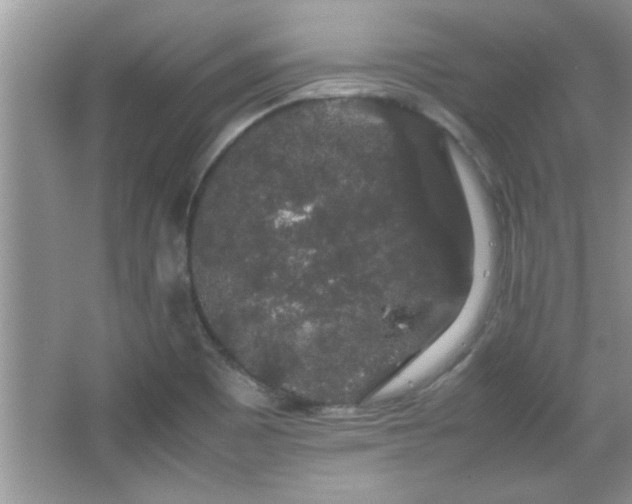 X0000067871465200604131223