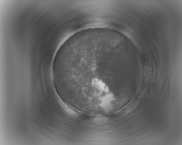 X0000067871466200604131223