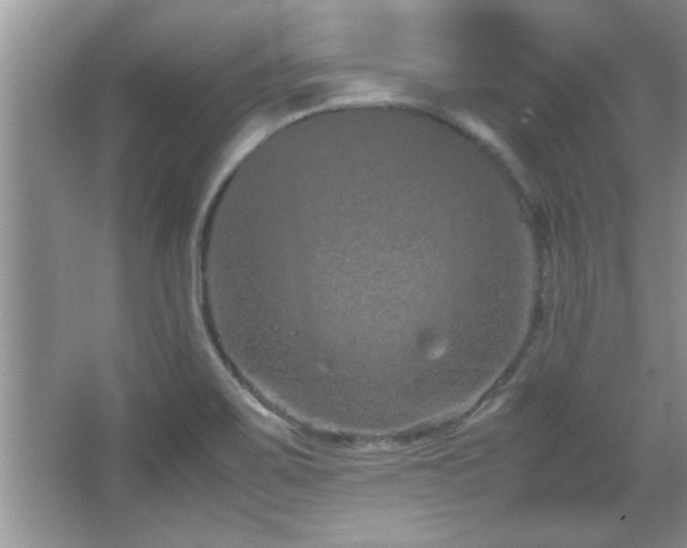 X0000067871467200604131223