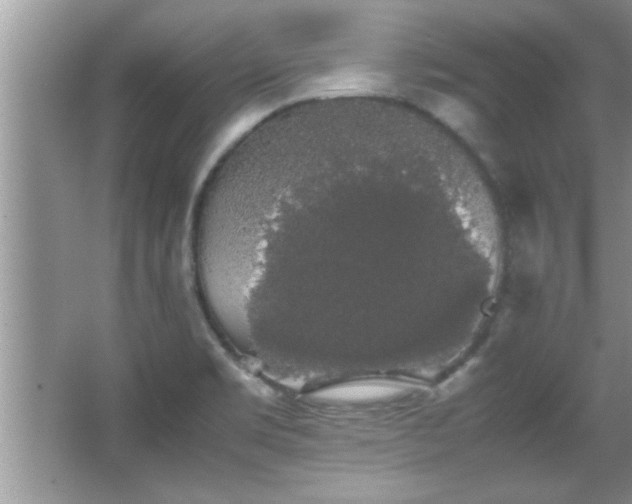 X0000067871469200604131223