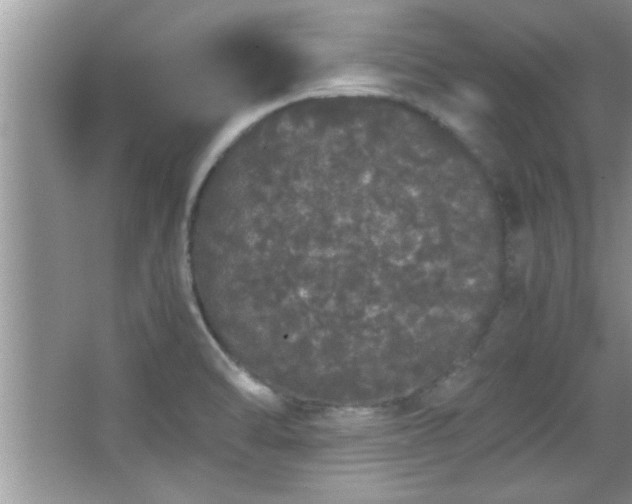 X0000067871470200604131223