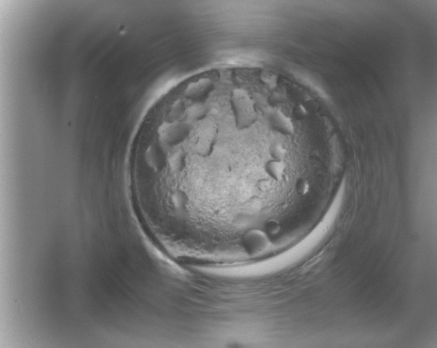 X0000067871471200604131223