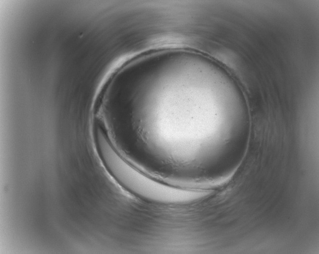 X0000067871472200604131223