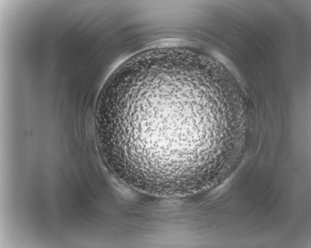 X0000067871473200604131223