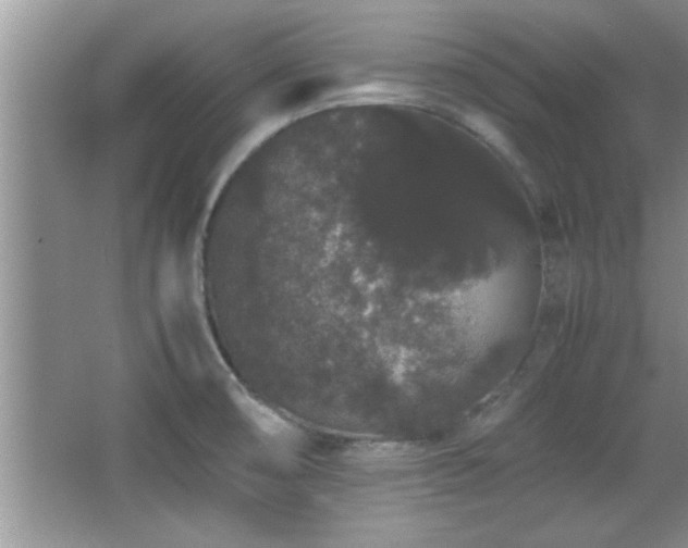 X0000067871474200604131223