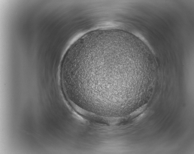 X0000067871477200604131223