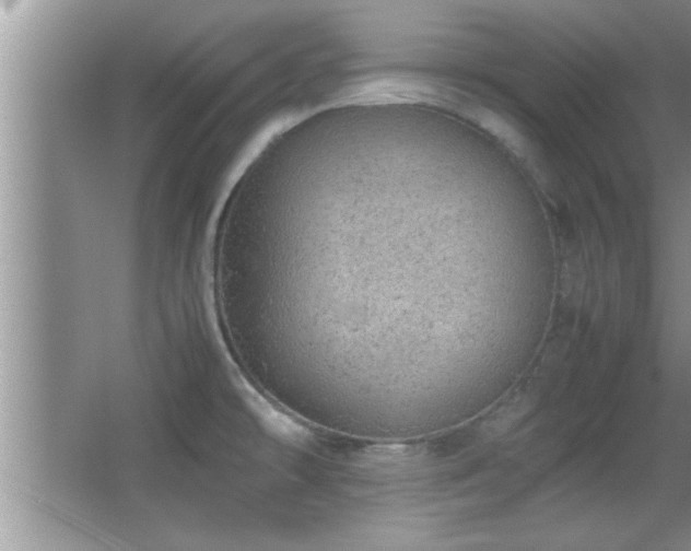 X0000067871478200604131223