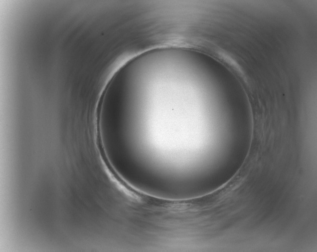 X0000067871479200604131223