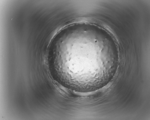 X0000067871481200604131223