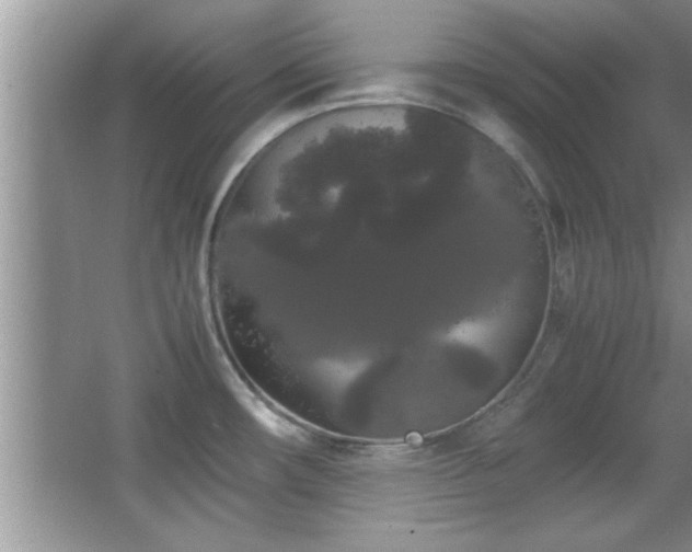 X0000067871482200604131223