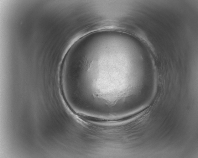 X0000067871483200604131223