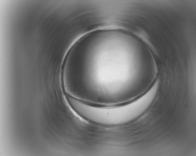 X0000067871484200604131223