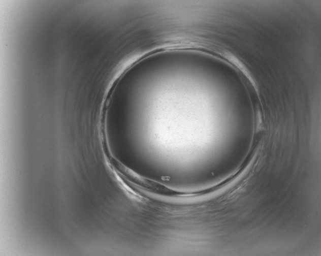 X0000067871485200604131223