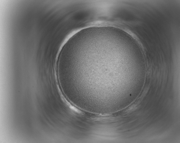 X0000067871486200604131223