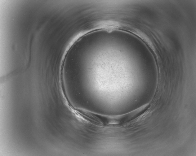 X0000067871488200604131223