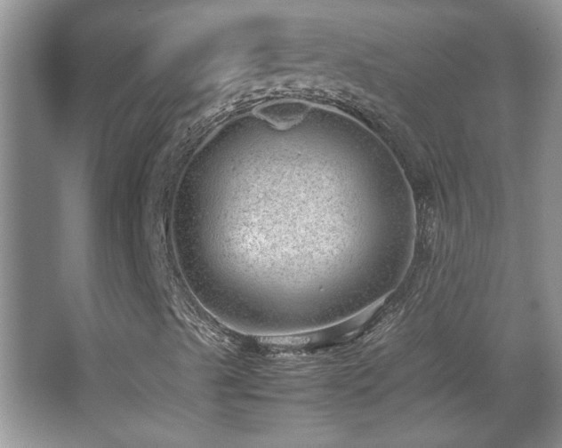 X0000067871489200604131222