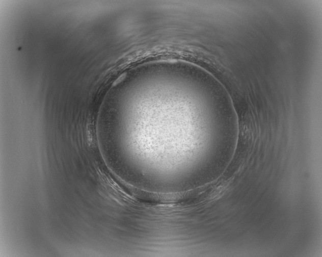 X0000067871490200604131222