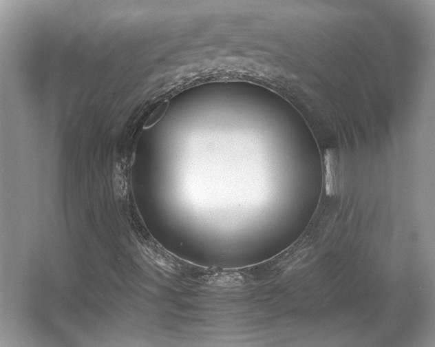 X0000067871491200604131222