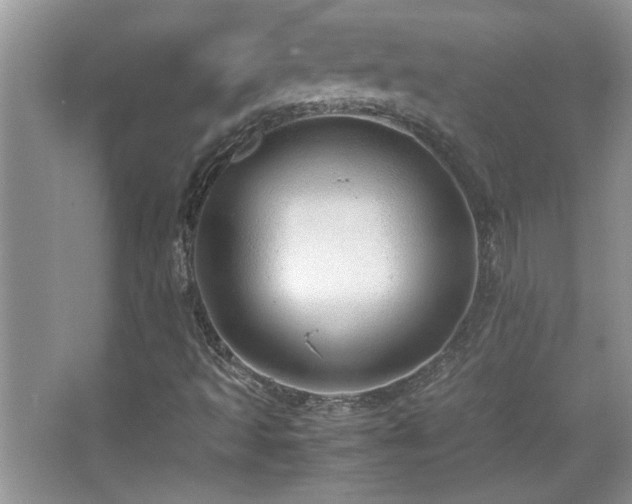 X0000067871493200604131222