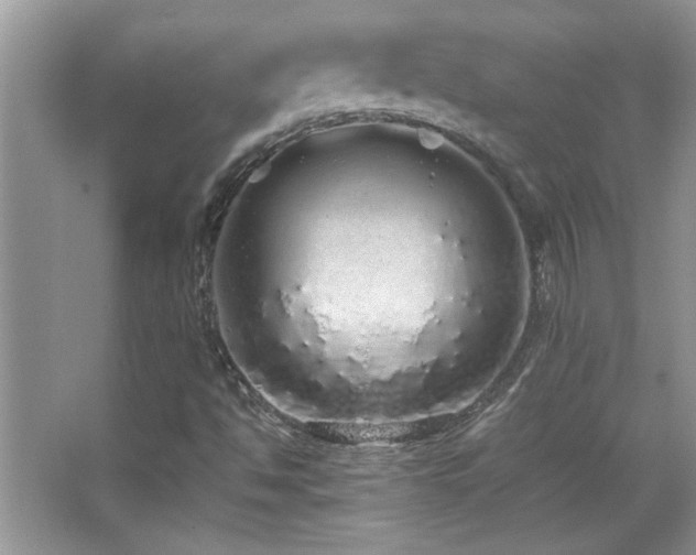 X0000067871494200604131222