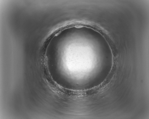 X0000067871496200604131222