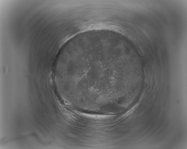 X0000067871497200604131222