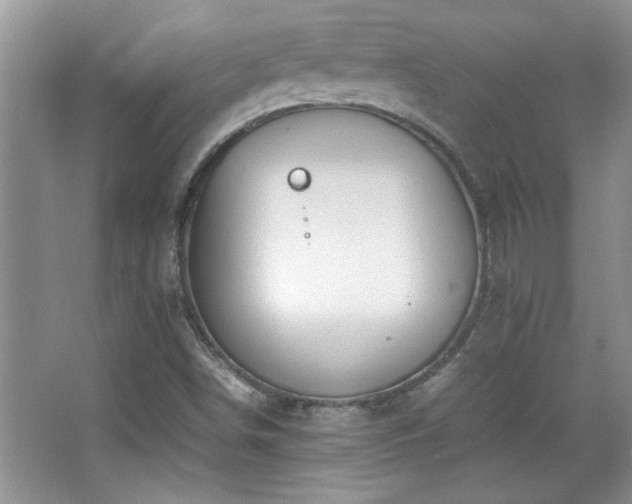 X0000067871498200604131222