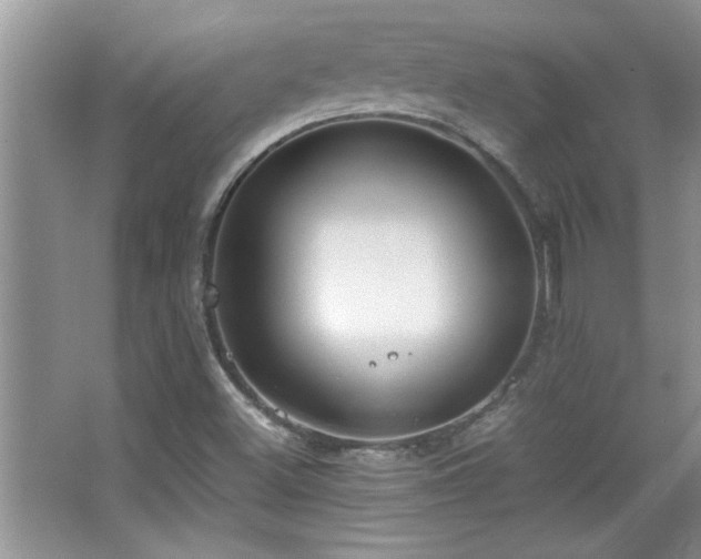 X0000067871500200604131222