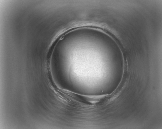 X0000067871501200604131222