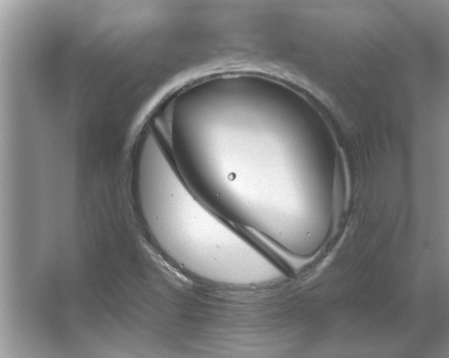 X0000067871502200604131222