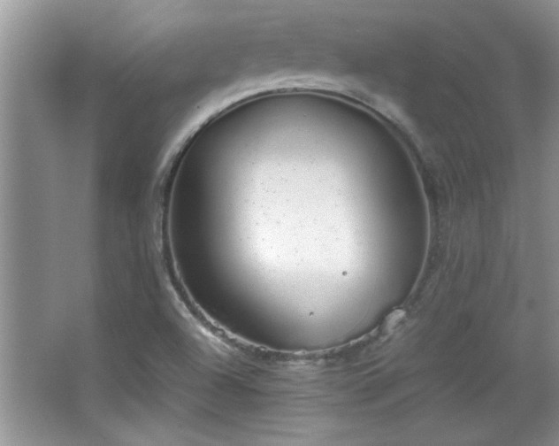 X0000067871504200604131222