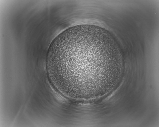 X0000067871505200604131222