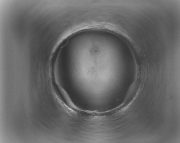 X0000067871506200604131222