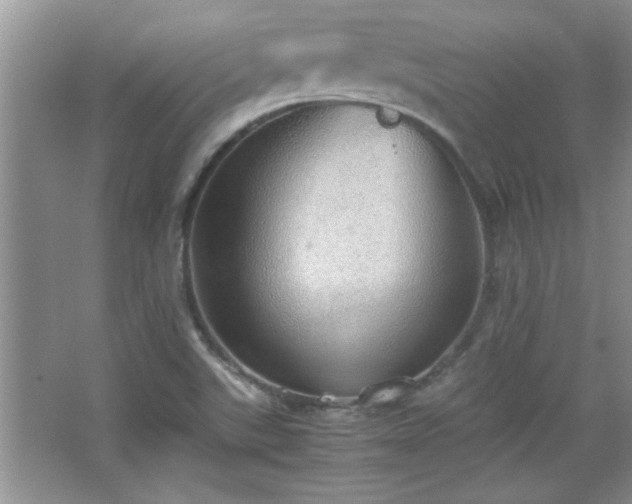 X0000067871507200604131222