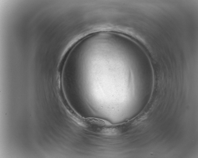 X0000067871509200604131222