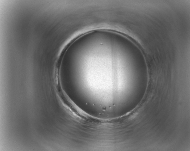 X0000067871510200604131222