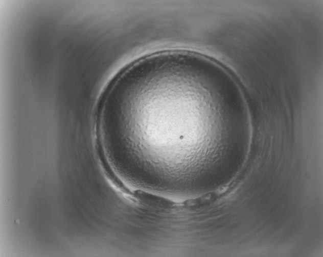 X0000067871511200604131222