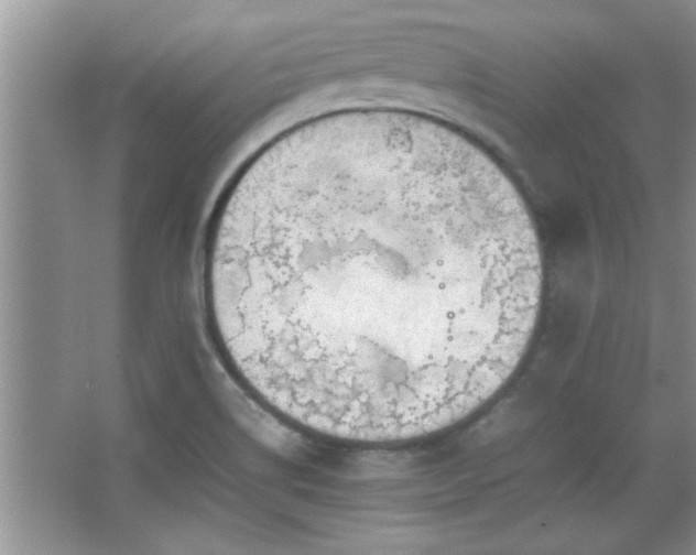 X0000067871514200604131223