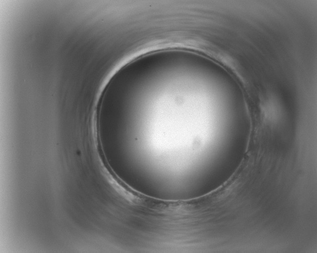 X0000067871516200604131223