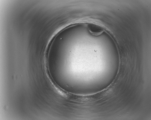 X0000067871517200604131223