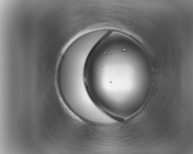 X0000067871518200604131223