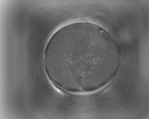 X0000067871519200604131223