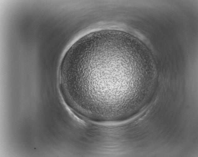 X0000067871520200604131223