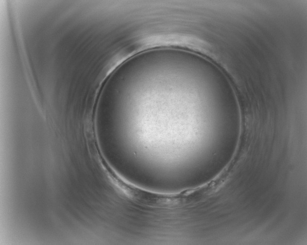 X0000067871521200604131223