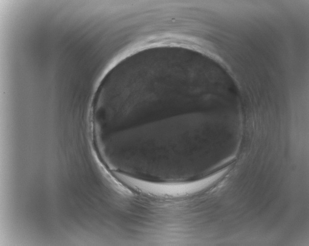 X0000067871522200604131223