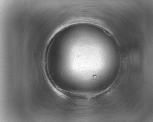 X0000067871523200604131223