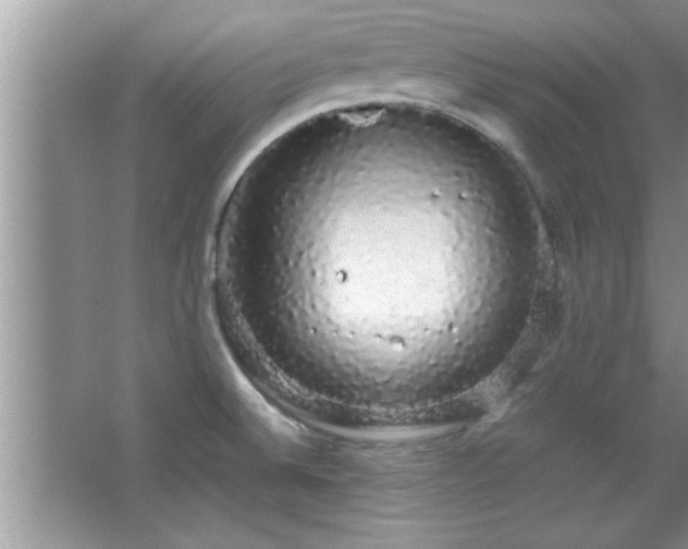 X0000067871524200604131223