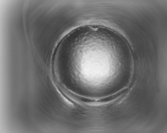 X0000067871525200604131223